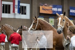 Untitled-0056-11