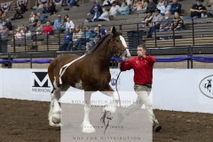 Untitled-0064-10