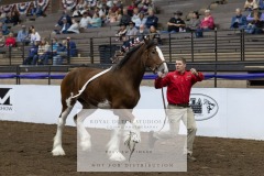 Untitled-0065-10