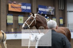 Untitled-0067-9
