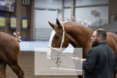 Untitled-0068-9