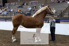 Untitled-0072-9
