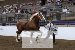 Untitled-0077-9