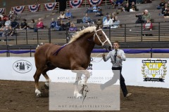 Untitled-0078-9
