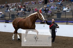 Untitled-0081-8