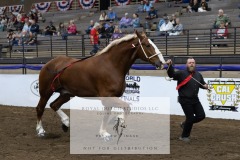 Untitled-0082-8