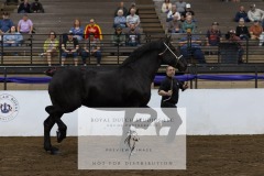 Untitled-0092-8
