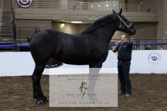 Untitled-0093-8