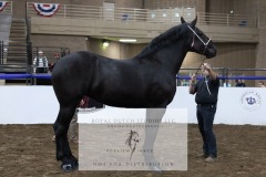 Untitled-0094-8