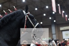 Untitled-0095-8