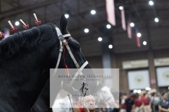 Untitled-0096-8