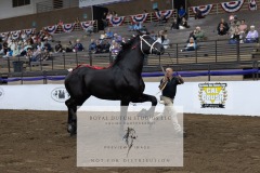 Untitled-0098-8