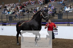 Untitled-0101-8