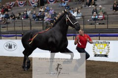 Untitled-0102-8