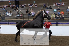 Untitled-0103-8