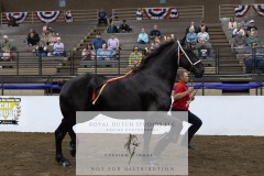 Untitled-0104-8