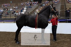 Untitled-0105-8