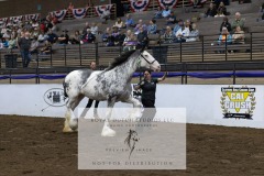 Untitled-0106-8