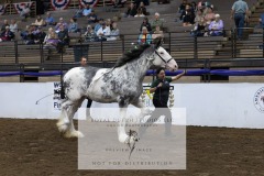 Untitled-0108-8