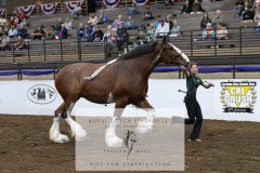 Untitled-0112-8