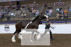 Untitled-0118-8