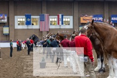 Untitled-0007-6