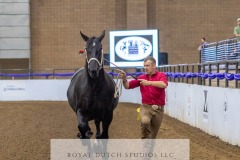 Untitled-0034
