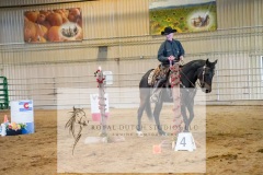 DSC04178