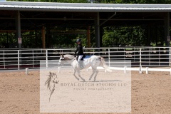 DSC00991