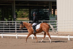 DSC00472-1