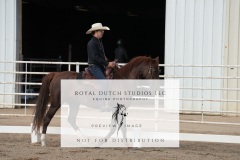 Untitled-0036-1