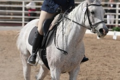 Untitled-0239-1