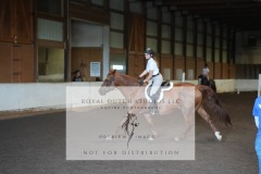 Untitled-0028-6