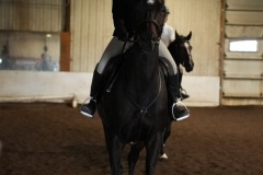 Untitled-0048-6