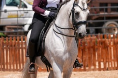 DSC09012-1