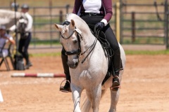 DSC09036-1