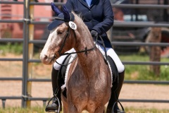 DSC09152-1