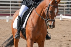 Untitled-0051-10