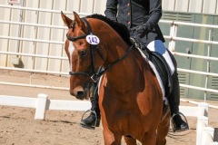 Untitled-0051-11
