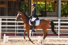 Untitled-0062-6
