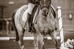 Untitled-0022-16