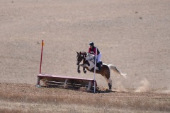 DSC06036-1