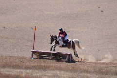 DSC06037-1