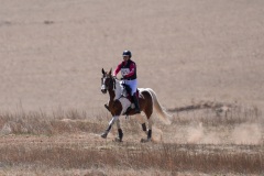 DSC06043-1