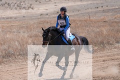 DSC07017