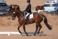 DSC03056
