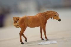 DSC00510-scaled