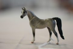 DSC00513-scaled