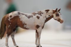 DSC00522-scaled