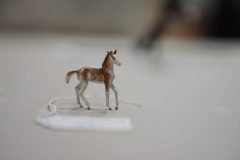 DSC00526-scaled